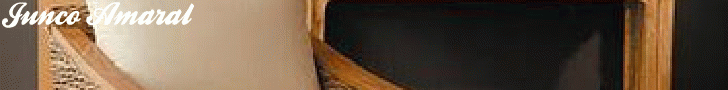                Junco Amaral